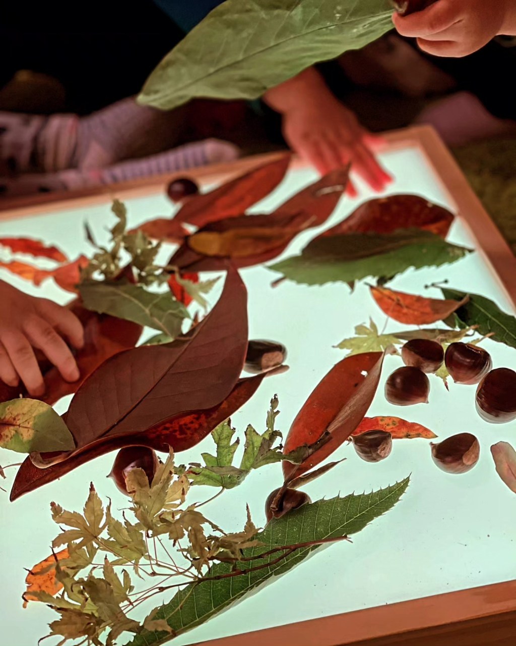 LAVAGNA LUMINOSA AUTUNNALE